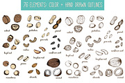 Nuts and seeds with seamless pattern, a Food Illustration by Tatti Graphic Studio (Thumbnail 2 of 3)