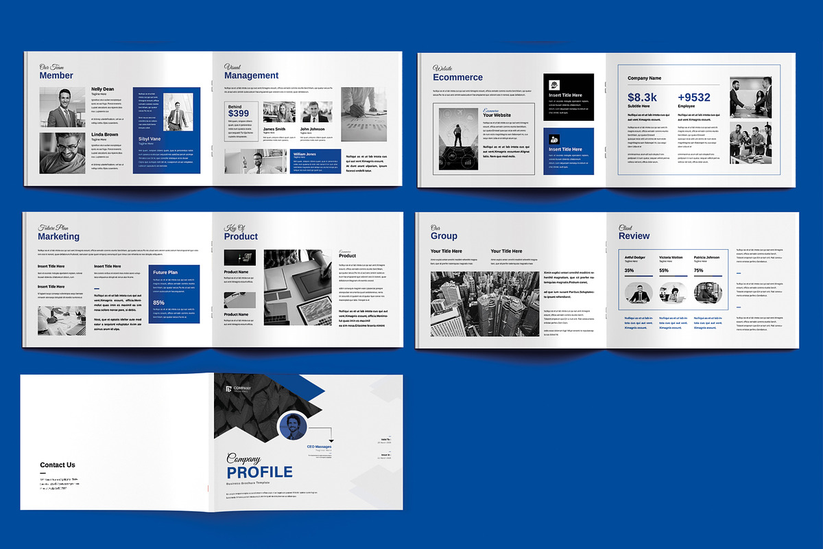 Company Profile Template Layout preview 3