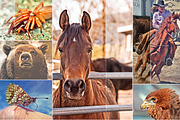 (SALE 85%) 50 HDR Actions Bundle, an Action Add-On by Linspace (Thumbnail 4 of 5)