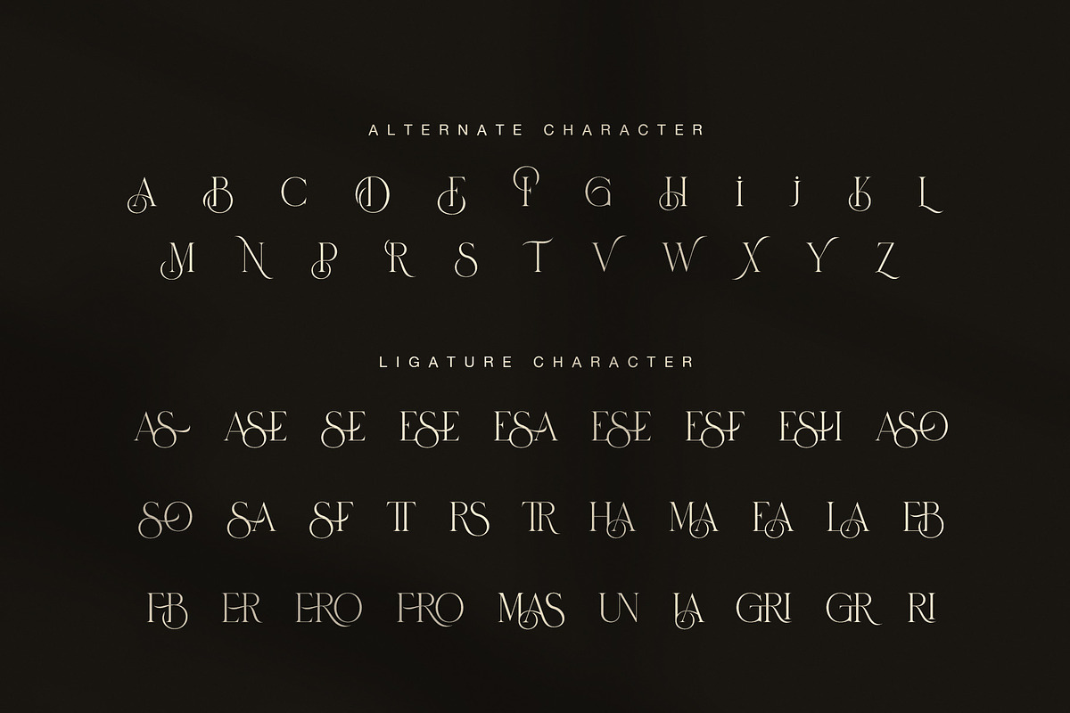 Biges Elegant Serif Font, a Serif Font by Graphicxell (Photo 8 of 8)