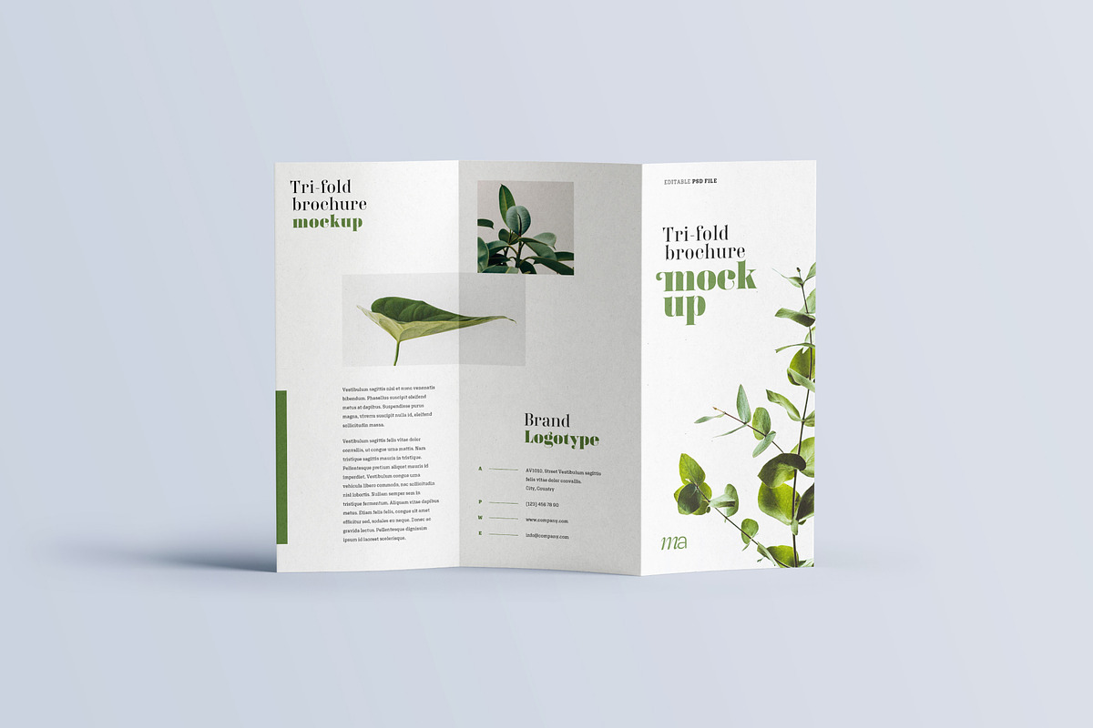 Trifold Brochure Mockup, a Print Template by mockupatelier (Photo 13 of 15)