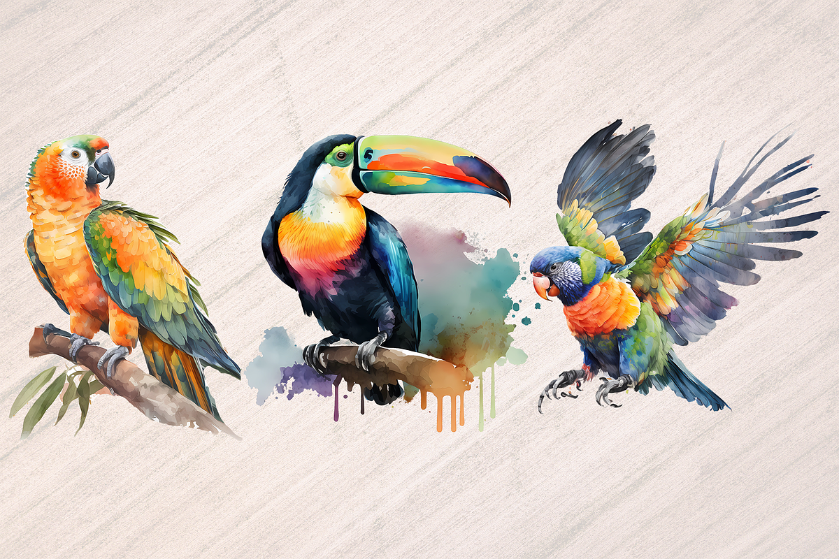 Watercolor Exotic Bids - 32 PNGs, an Animal Illustration by Leakedink (Photo 3 of 3)