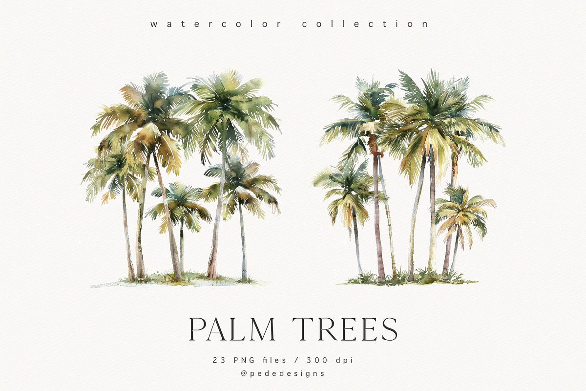 Palm Trees, a Decorative Illustration by PeDe Designs (Photo 6 of 9)