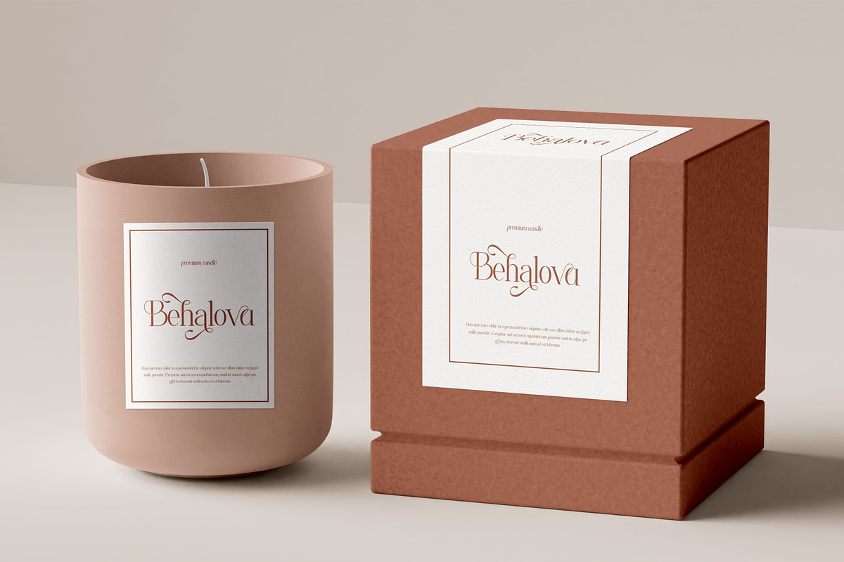 Ficoria || Modern Serif Font, a Serif Font by Idea Studio (Photo 8 of 10)