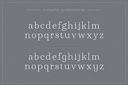 Winslow Book Hairline, a Serif Font by Kimmy Design (Thumbnail 5 of 8)