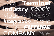 Laro Display Font Family, a Sans Serif Font by Larin Type Co. (Thumbnail 11 of 13)