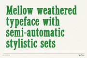 Dot Gain TM – Cozy Serif, a Serif Font by Type Mania (Thumbnail 2 of 10)