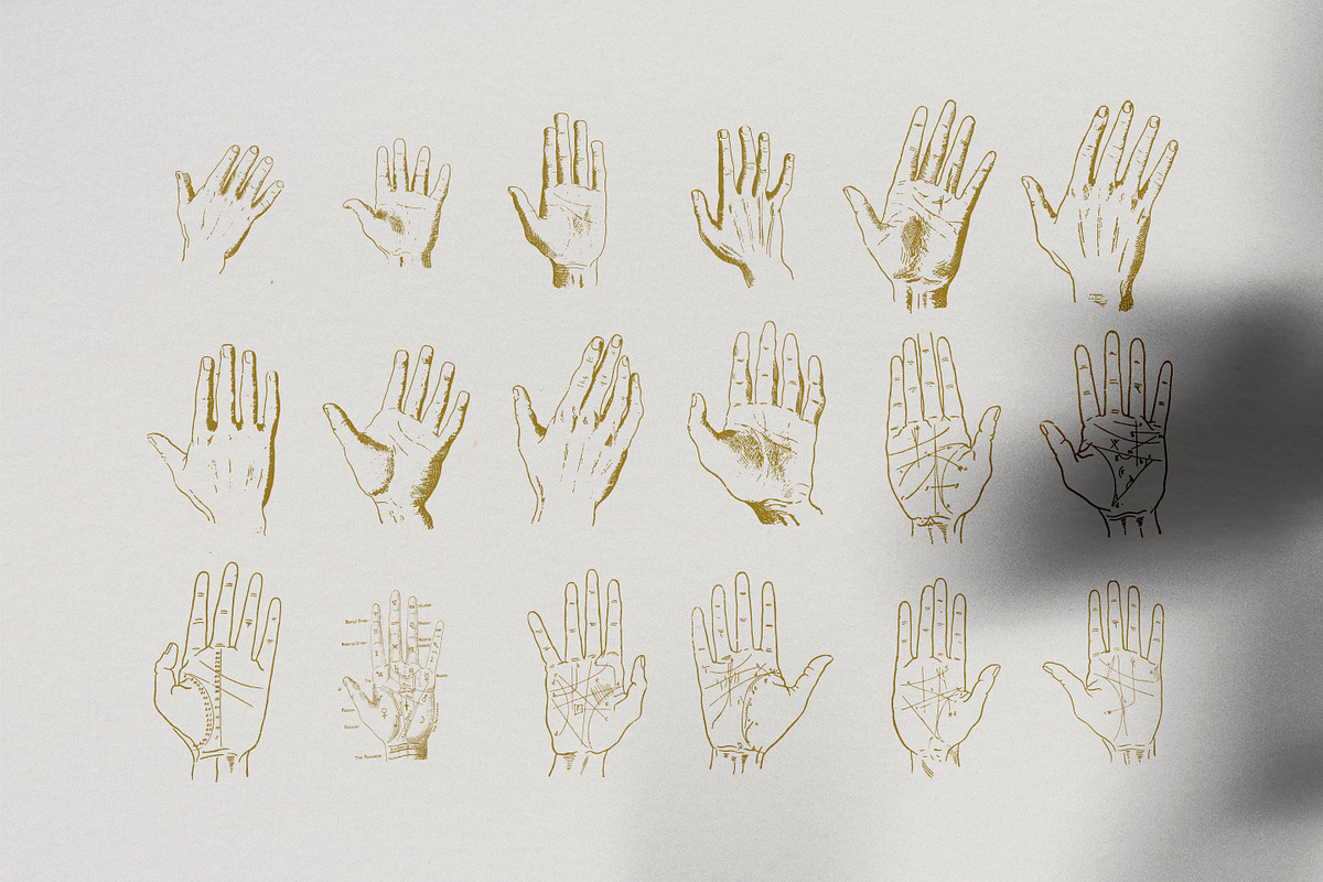 Palmistry, Zodiac & Occult, an Illustration by Nomad Visuals (Photo 8 of 13)