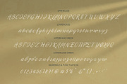 Lucky Star script font, a Script Font by George Bourle (Thumbnail 7 of 10)