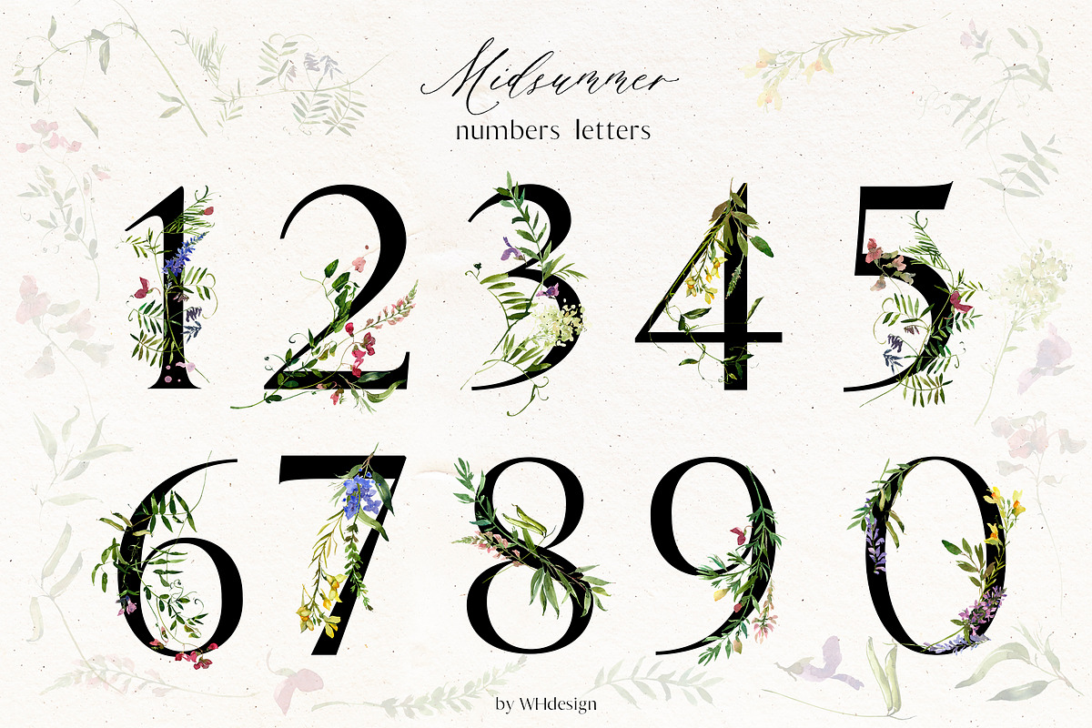 Midsummer - field flowers clipart, a Decorative Illustration by whiteheartdesign (Photo 15 of 16)