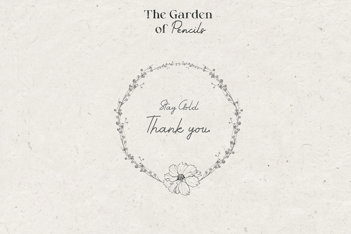 Pencil-drawn flowers, a Decorative Illustration by Damian Roh (Photo 21 of 21)