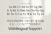 Sonice - Modern Luxury Font, a Serif Font by Vampstudio (Thumbnail 13 of 13)