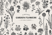 Garden Flowers. Black and white, an Illustration by olga.korneeva (Thumbnail 1 of 5)