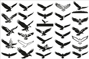 Powerful eagle flying wall art desig, an Illustration by Amazin_art (Thumbnail 1 of 31)