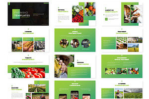 Farmino - Presentation Template