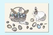 Spring Rabbit cute vector collection, an Animal Illustration by Zimages (Thumbnail 6 of 9)