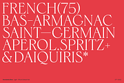 Hernandez Bros, a Serif Font by Latinotype (Thumbnail 3 of 15)