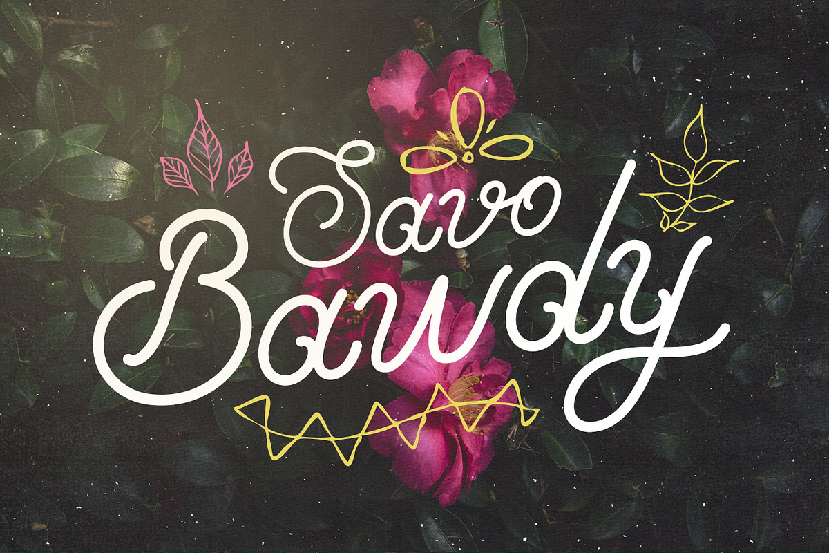 Savo Bawdy - Typeface
