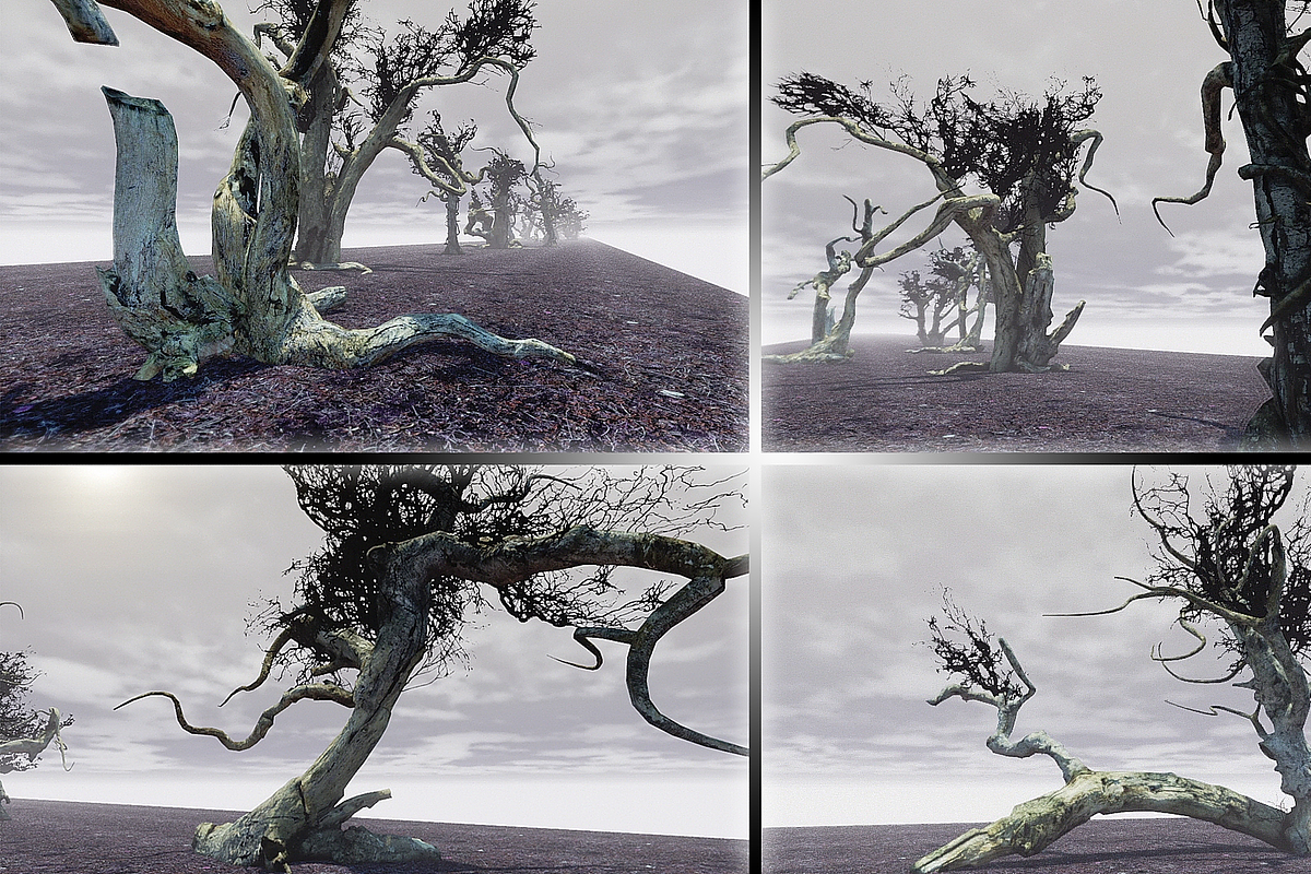Witchwood, an Environmental 3D Model by MotuProprio (Photo 7 of 7)