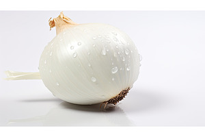 vegetable white onion isolated ai, a Food & Drink Photo by pikepicture