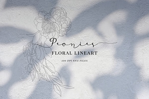 Floral line art in black, Peony