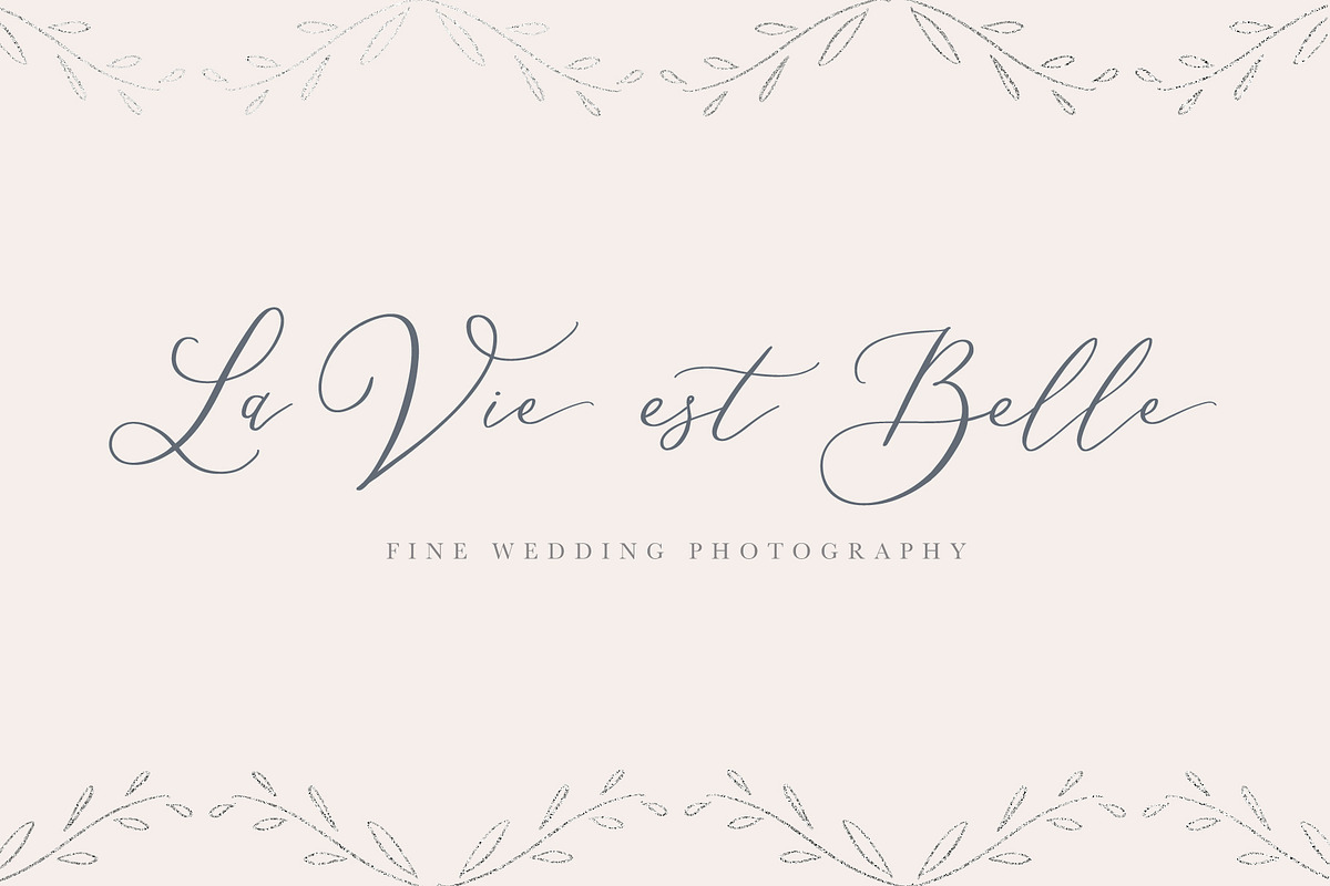 Delicate Elegant Script & Ornaments preview 5