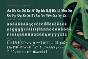 Gafjust Minfine Modern Serif, a Serif Font by timelesstype.co (Thumbnail 18 of 20)