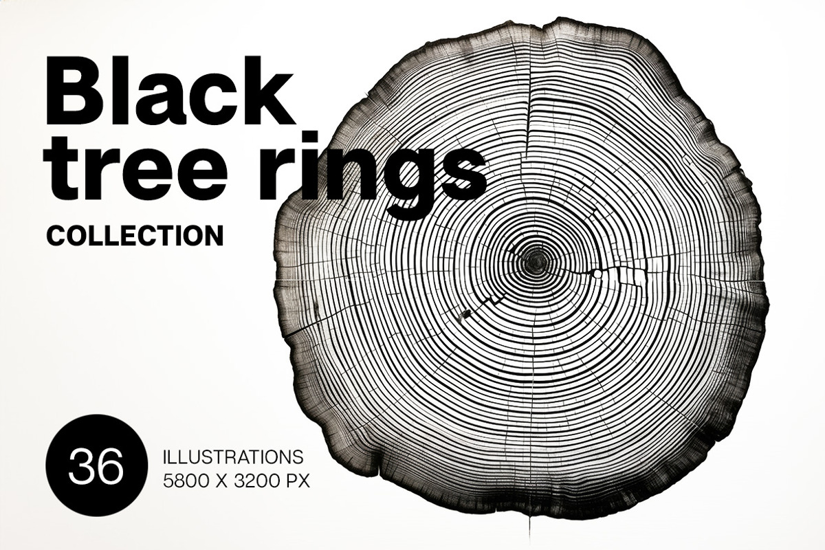 Black tree rings collection, a Decorative Illustration by Handmadefont (Photo 1 of 10)