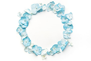 Blue hydrangea petals forming a floral circle frame, a Background Photo by Olena Rudo