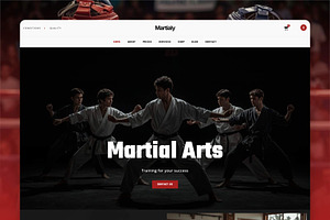 Martial Arts WordPress Theme, a WordPress Template by Nicdark Themes
