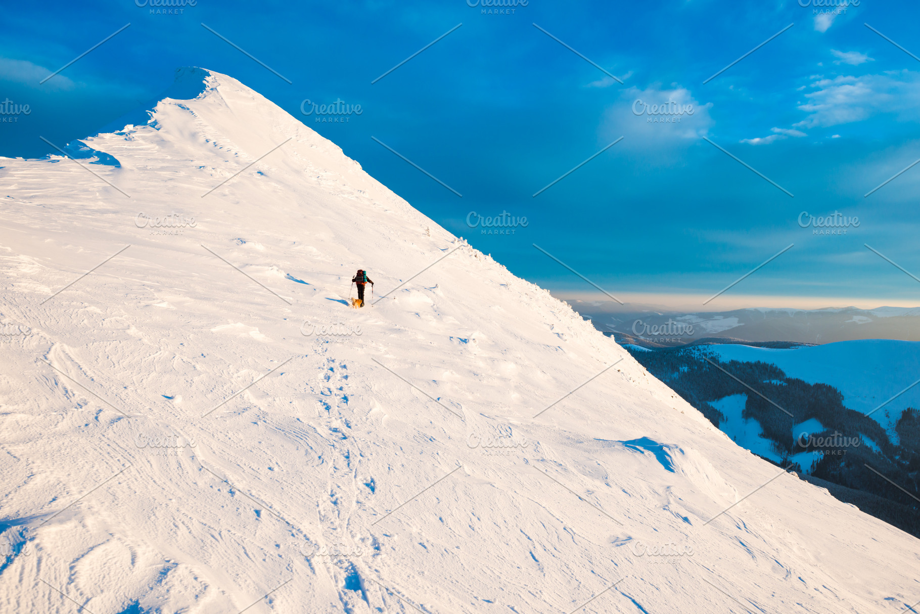 Mountaineer with dog climbing on mountain top, a Nature Photo by Vapi