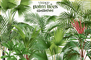Vintage palm tree illustrations, a Decorative Illustration by Natalka Dmitrova art (Thumbnail 1 of 8)
