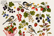 Wild Berry Envelope Creator Kit, an Object Graphic by DreamoraArt (Thumbnail 6 of 11)