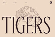 CS Allegory – Elegant Serif Font, a Serif Font by Craft Supply Co. (Thumbnail 2 of 8)