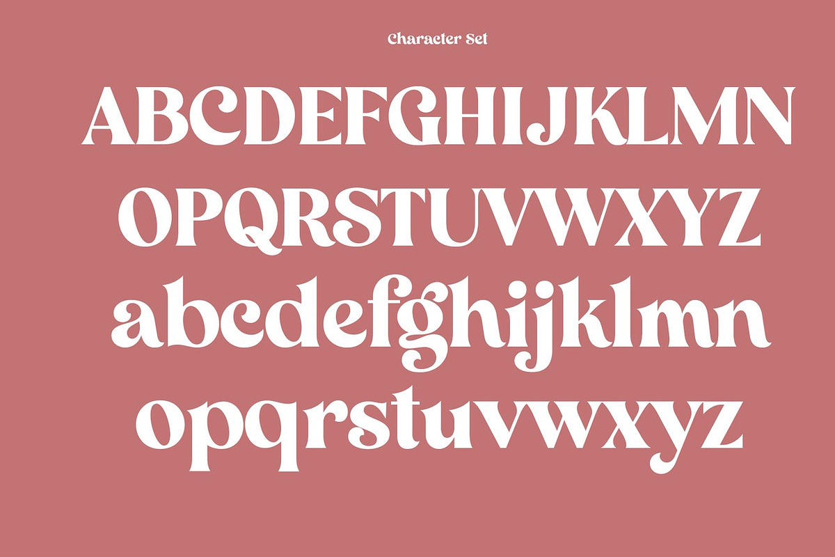 Algebra Ligature Modern Serif, a Serif Font by Luna Shop (Photo 6 of 10)