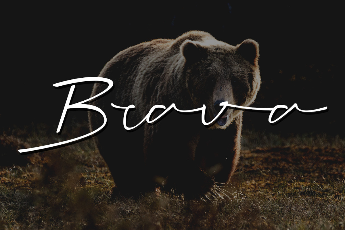 Hofsen Brava Script preview 2