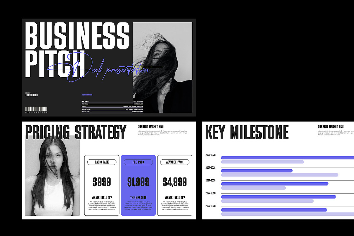 Startup Business Pitch Deck Template, a Presentation Template by Templeste (Photo 5 of 7)