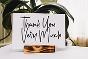 Bridgestown - Monoline Font, a Script Font by Balpirick Studio (Thumbnail 7 of 7)