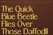 CS Rugbi Drawn, a Serif Font by Craft Supply Co. (Thumbnail 6 of 8)