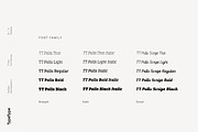 TT Polls, a Slab Serif Font by TypeType (Thumbnail 2 of 18)