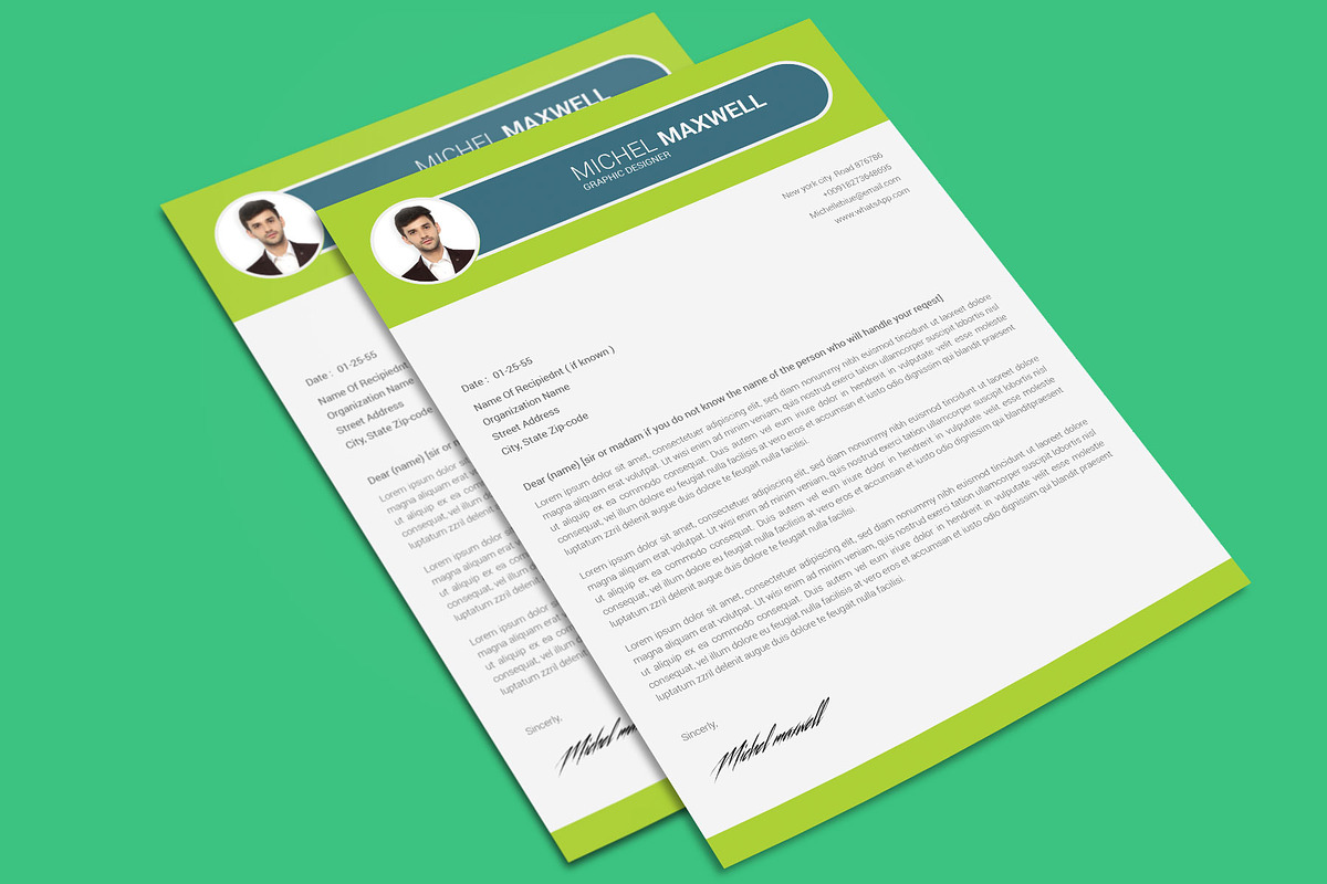 Professional Cv Resume, a Resume Template by designvillage (Photo 5 of 12)