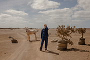Film Look Lightroom Presets, an Action Add-On by I & M Lightroom Presets (Thumbnail 2 of 15)