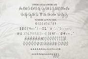 Samantha Calligraph | Script Font, a Handwritten Font by Scratchones (Thumbnail 7 of 8)