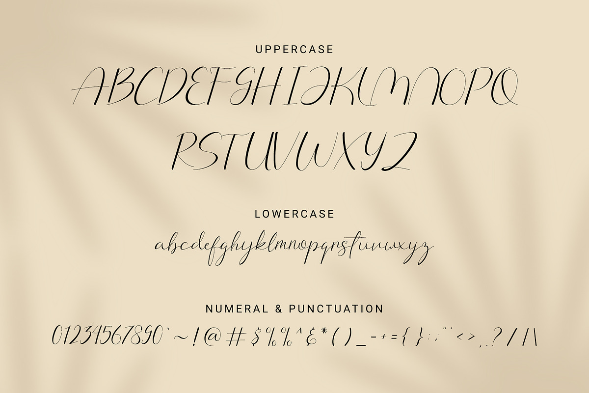 Arlington | Feminine Font, a Script Font by Lightsense (Photo 10 of 12)
