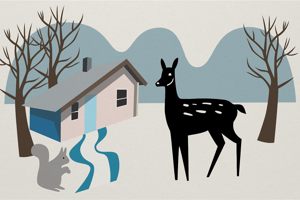 Wild Wood Nature Illustration Pack, an Animal Illustration by Jill Adams (Photo 11 of 11)