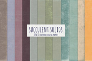 Succulent Solid Digital Backgrounds, a Texture Graphic by Carrie Stephens Art (Thumbnail 2 of 7)