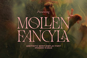 Mollen Fancyla Aesthetic Serif Font, a Serif Font by Imoodev