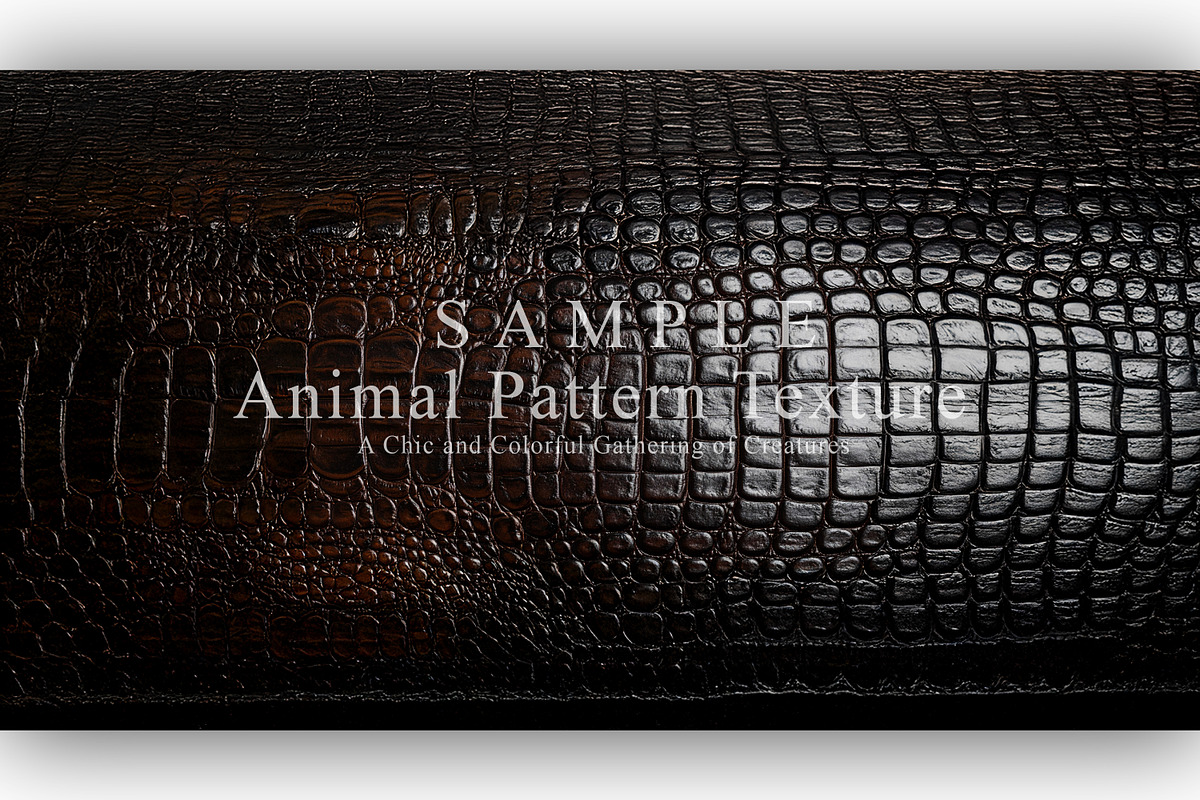 24 Animal Pattern Texture, a Background Graphic by NOMO DESIGN (Photo 16 of 24)