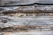 Old Wood Texture Wood Log Wall, a Texture Graphic by VetalStock (Thumbnail 6 of 9)