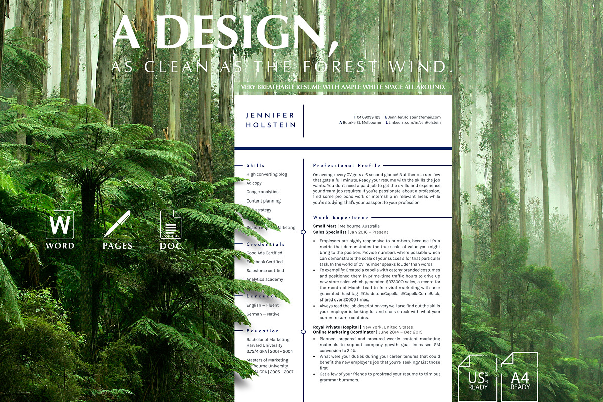 Sales Manager Resume Template, a Resume Template by Career Canvas (Photo 2 of 11)